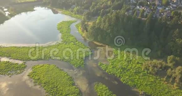 位于温哥华西北部华盛顿哈泽尔地区的鲑鱼溪绿道视频的预览图