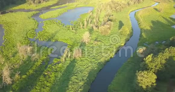 位于温哥华西北部华盛顿哈泽尔地区的鲑鱼溪绿道视频的预览图