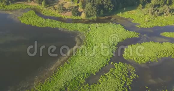 位于温哥华西北部华盛顿哈泽尔地区的鲑鱼溪绿道视频的预览图