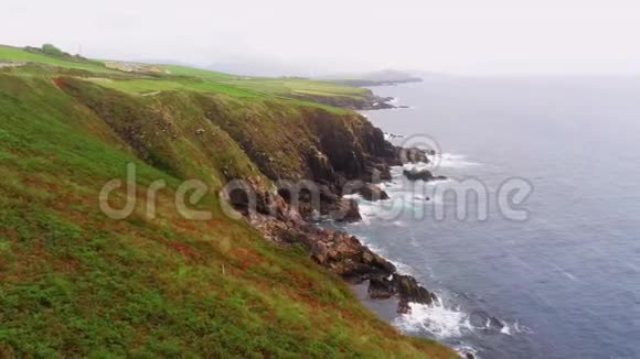 爱尔兰定乐半岛美丽的绿色自然视频的预览图