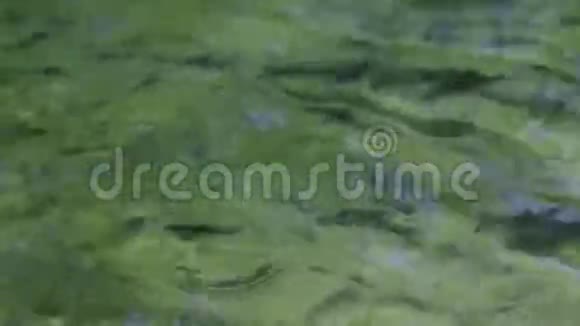 高山的泉水声音的特写视频的预览图
