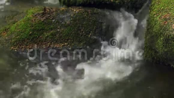 高山的泉水声音的特写视频的预览图