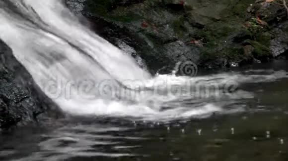 喀尔巴阡山森林的瀑布视频的预览图