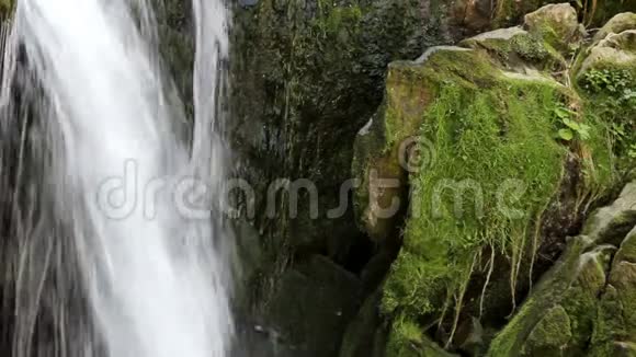 喀尔巴阡山森林的瀑布视频的预览图