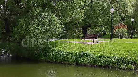 夏季公园木凳视频的预览图