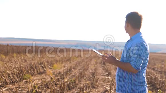 农民工作聪明的农业工人阅读或分析收获向日葵在农业领域的平板电脑上的报告视频的预览图