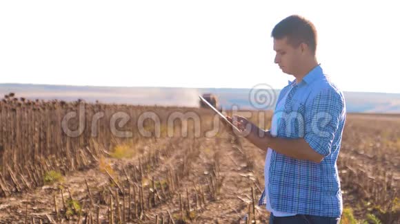农民聪明的农业生活方式工作的人阅读或分析收获向日葵在平板电脑上的农业报告视频的预览图