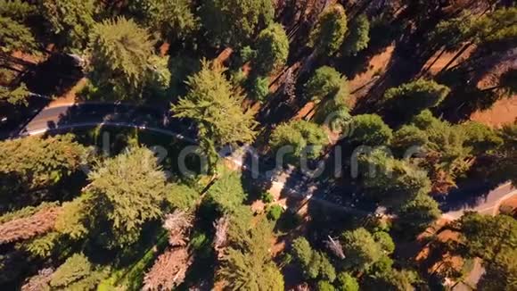 从上面可以看到约塞米蒂国家公园的空中景色视频的预览图