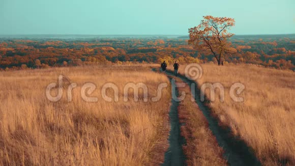 人们在大自然中旅行秋天走在路上探险慢动作视频两个徒步旅行者带户外视频的预览图
