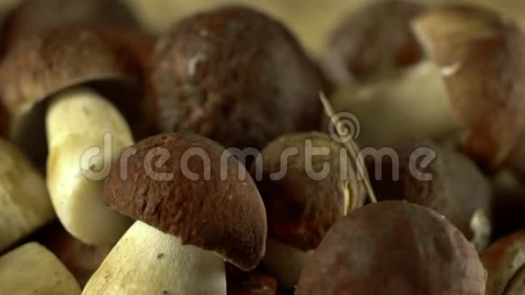 森林蘑菇囚犯天然产物太美妙了轮换慢镜头视频的预览图