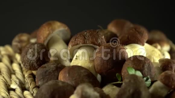 森林蘑菇囚犯天然产物太美妙了轮换慢镜头视频的预览图
