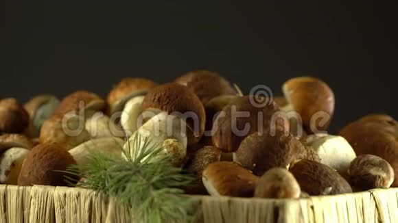 森林蘑菇囚犯天然产物DelicacyRotation4K视频的预览图