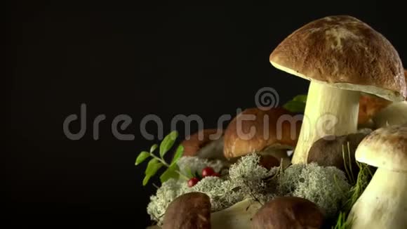 森林蘑菇囚犯天然产物DelicacyRotation4K视频的预览图