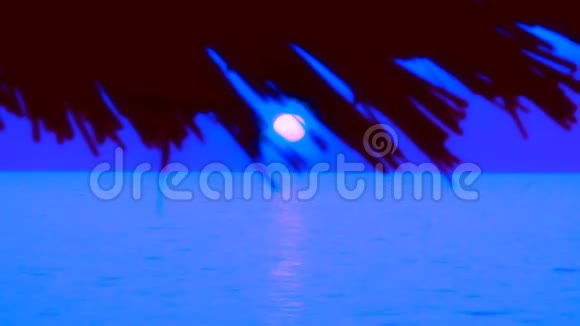 夜景海岸视频的预览图