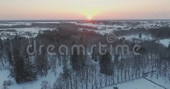 冬季森林美丽日落的鸟瞰图视频的预览图