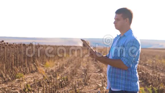 农民聪明的农业工作男人阅读生活方式或分析收获向日葵一篇关于农业的平板电脑报告视频的预览图