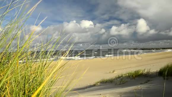 波罗的海海滩和海滩草地视频的预览图