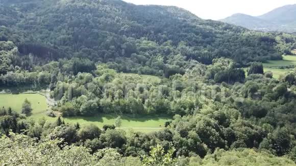 法国比利牛斯山脉草地和森林的鸟瞰图视频的预览图
