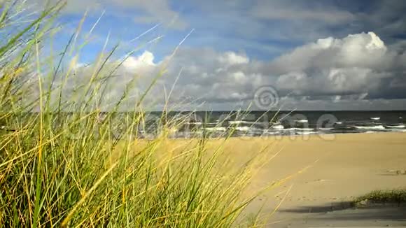 波罗的海海滩和海滩草地视频的预览图