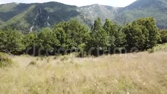 法国比利牛斯山的鸟瞰图视频的预览图