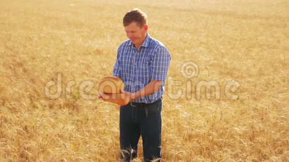 老农夫面包师拿着一个金色的面包和面包在成熟的麦田慢动作视频收获时间老面包师视频的预览图