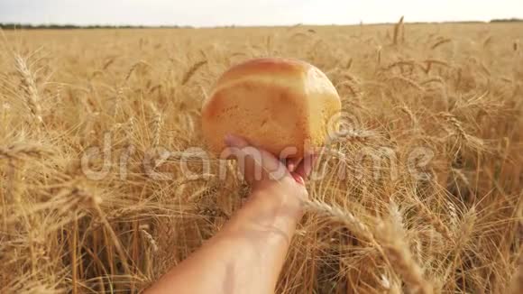 人们在小麦的生活方式领域里拿着面包慢动作视频小麦领域的成功农学家收获视频的预览图