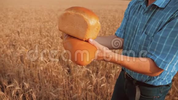 老农夫面包师拿着一个金色的面包和面包在麦田对抗蓝天慢动作视频生活方式视频的预览图
