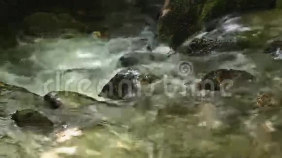 高山的泉水特写视频的预览图