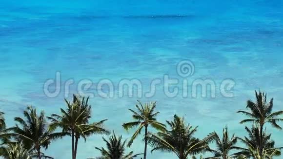 热带海滩度假乐园视频的预览图