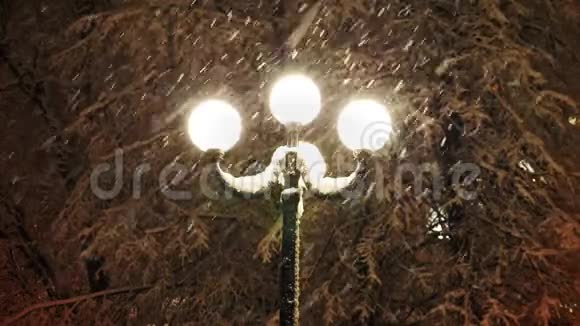 路灯照下美丽的大雪视频的预览图