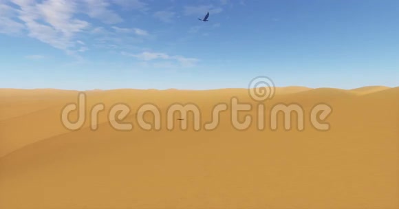 鹰在沙漠和沙丘上盘旋视频的预览图