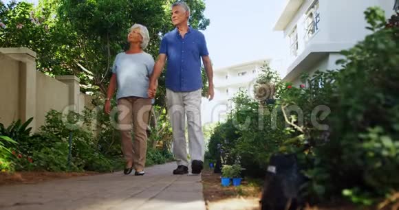 年长夫妇在花园里散步视频的预览图