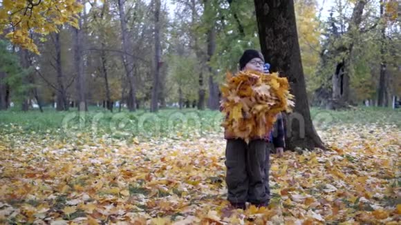 一年中的时间秋天儿童在大自然中玩耍视频的预览图