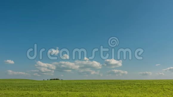 美丽的时光在夏日的美景中流逝视频的预览图