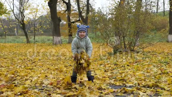 一年中的时间秋天儿童在大自然中玩耍视频的预览图
