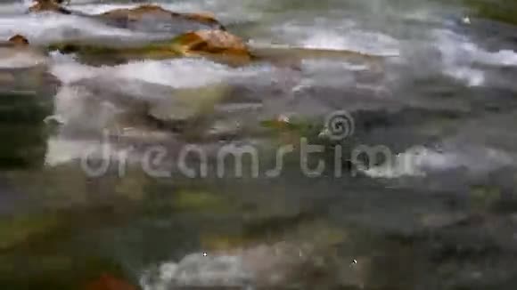 山河视频的预览图