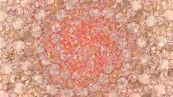 抽象视频红色和三文鱼几何圆形背景无缝环视频的预览图