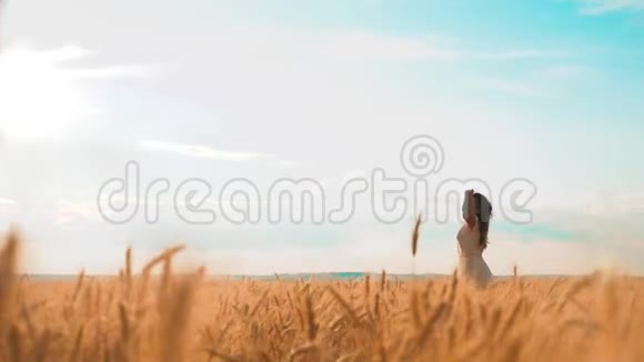 女孩正沿着麦田走着生活方式自然慢动作视频穿着白色裙子跑大自然的美丽女孩视频的预览图