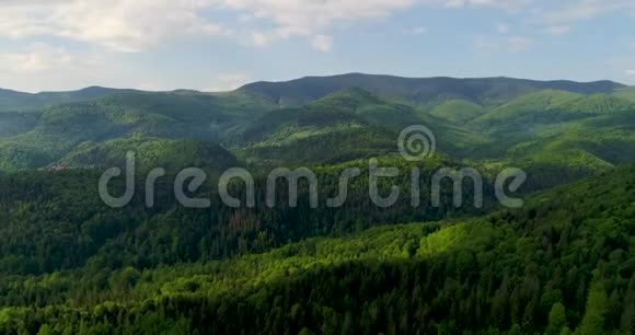 夏季喀尔巴阡山脉的鸟瞰图视频的预览图