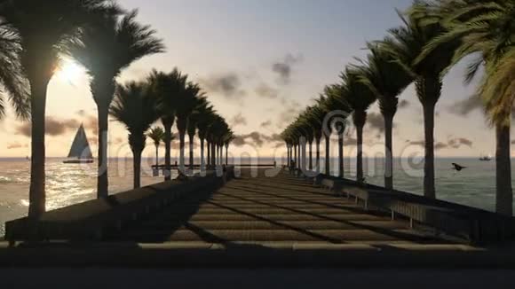 人们在海滨码头放松日落时分豪华游艇航行视频的预览图