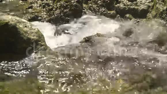 山溪河视频的预览图