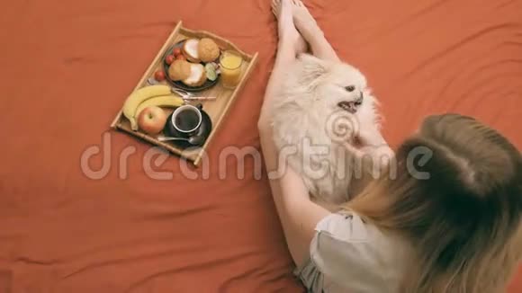 年轻的女人和狗躺在床上视频的预览图