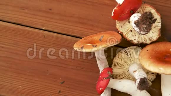 木制背景上的蘑菇视频的预览图