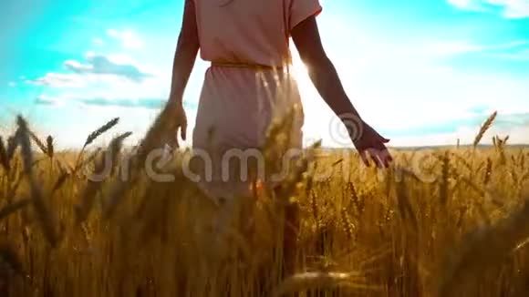女孩正沿着麦田走大自然慢动作视频美丽的女孩穿着白色的裙子奔跑着大自然的自由视频的预览图