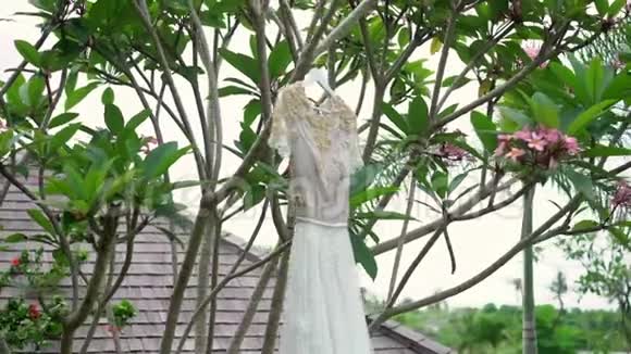 热带别墅的婚纱视频的预览图