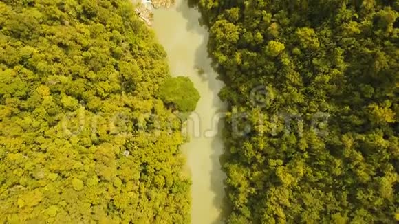 菲律宾热带雨林中的洛波克河博霍尔视频的预览图