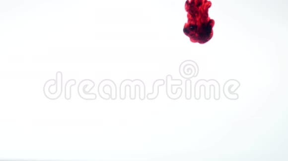 水中的红墨水摘要视频的预览图