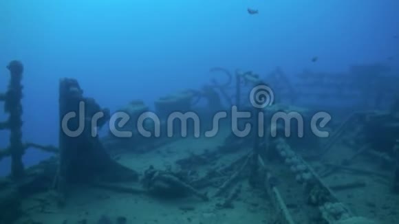 埃及红海水下沉船视频的预览图