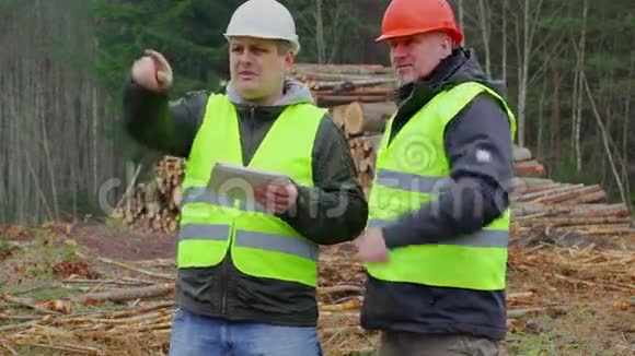 森林官员在森林里的一堆木头附近谈话视频的预览图