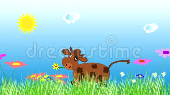 快乐的奶牛在绿色的草地上跳舞和放牧视频的预览图